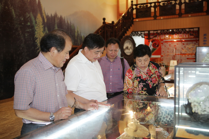 專(zhuān)題報(bào)道