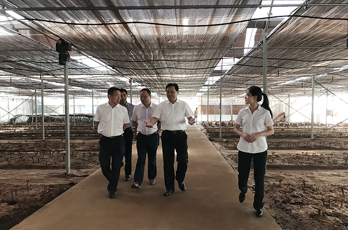 專(zhuān)題報(bào)道