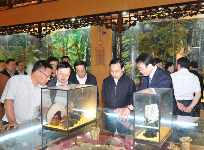 專(zhuān)題報(bào)道