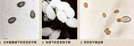 圖片關鍵詞 圖片關鍵詞