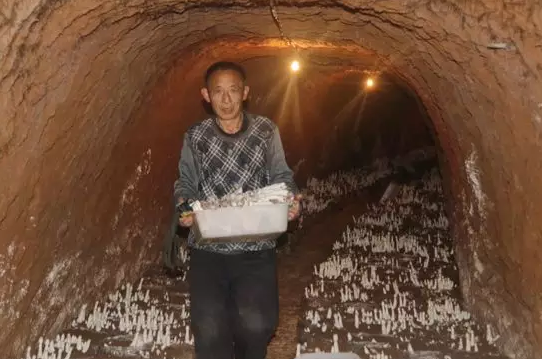 圖片關鍵詞 圖片關鍵詞