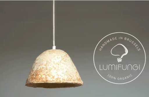 圖片關鍵詞 http://m.castironbathtub.cn/ewebeditor/uploadfile/20180727085601461001.png