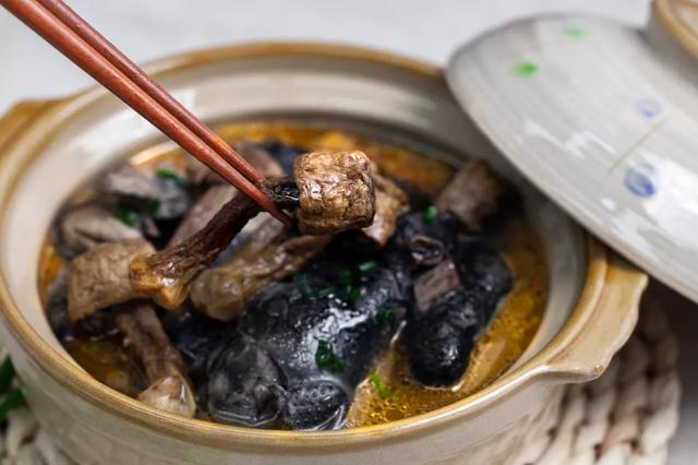 國(guó)家蘑菇地理：中國(guó)哪里的蘑菇最好吃？