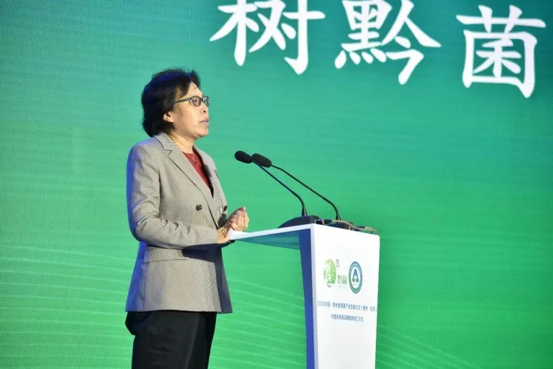 圖片關鍵詞 https://mmbiz.qpic.cn/mmbiz_jpg/tViaTicjwibVZmgEXXCALToc7mAB2rFo1LnUaEic5slUtmOtibGDawH453WL6soutibicRXiaIEBvCFFg8DibHwMkMRxx4g/640?wx_fmt=jpeg