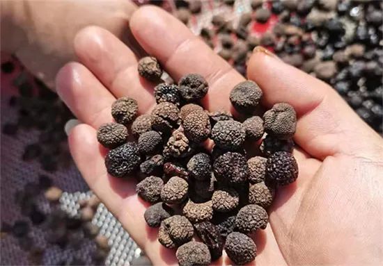 圖片關(guān)鍵詞 https://mmbiz.qpic.cn/mmbiz_jpg/OnRbAd1HL46wHKePT9jqeAiaZCvVaojNib4ZMFDEk8iaTicLKslqhgTFYEHhudY9fuUqicZOIm0OLib43lZHFRLmLIjA/640?wx_fmt=jpeg