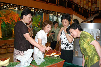 圖片關(guān)鍵詞 圖片關(guān)鍵詞