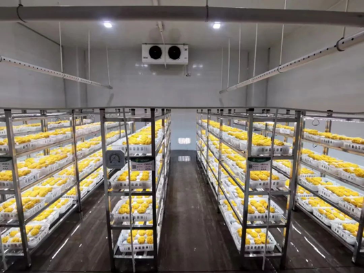 圖片關鍵詞 圖片關鍵詞