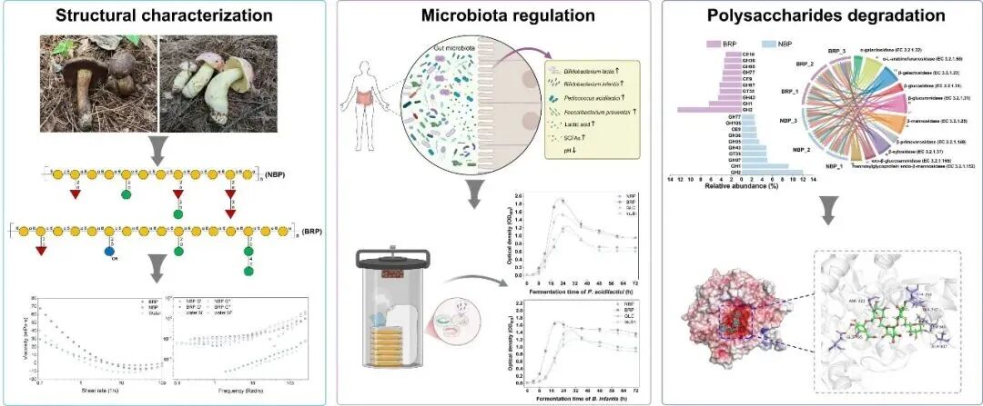 圖片關鍵詞 圖片關鍵詞