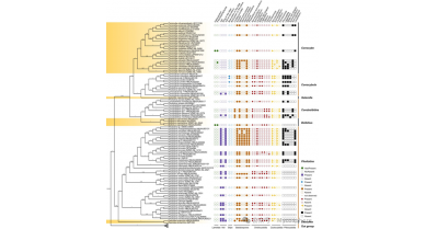行業(yè)動(dòng)態(tài)
