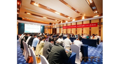 行業(yè)動態(tài)