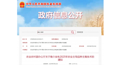 行業(yè)動態(tài)