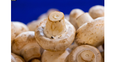 行業(yè)動態(tài)